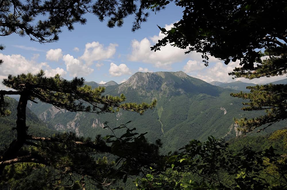 Balkan dijaspora chat n… - DiaspoChat